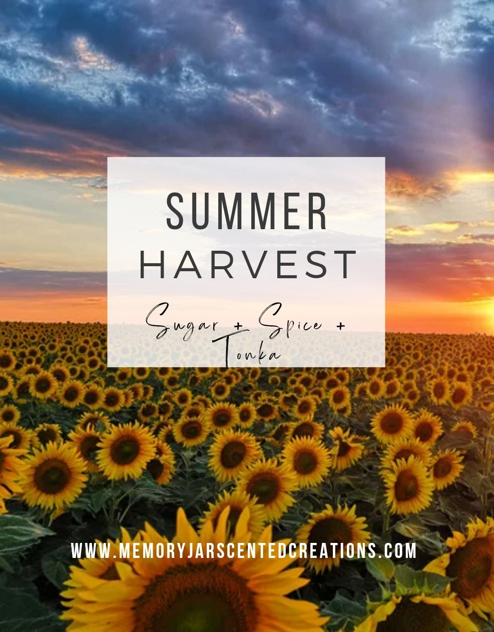Summer Harvest | Clamshell